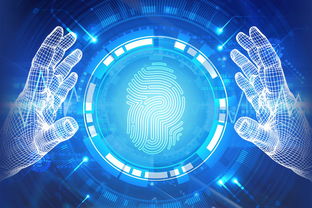 網(wǎng)絡(luò)科技領(lǐng)域內(nèi)的技術(shù)開發(fā)與法律規(guī)制